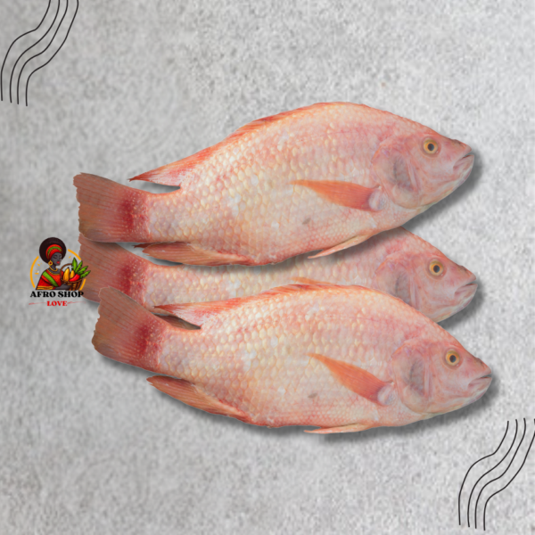 Poisson Tilapia Orange-blanc